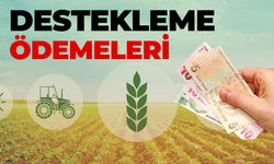 2025 Tarımsal Destekleme Ödeme Detayları Açıklandı