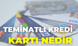 Teminatlı Kredi Kartı Nedir