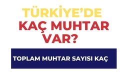 Türkiye’de Kaç Muhtar Var? Resmi Verilere Göre Toplam Muhtar Sayısı Kaç