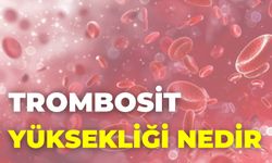 Trombosit Yüksekliği Nedir