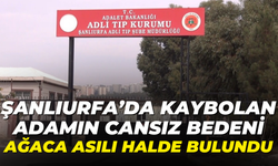 Şanlıurfa'da Kaybolan Yaşlı Adam Ağaca Asılı Halde Bulundu!