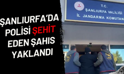 Şanlıurfa'da Polisi Şehit Eden Şahıs Yakalandı!