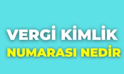 Vergi Kimlik Numarası Nedir