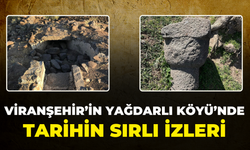 Viranşehir’in Yağdarlı Köyü'nde Tarihin Sırlı İzleri