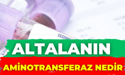 Altalanın Aminotransferaz Nedir