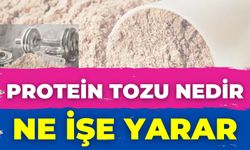 Protein Tozu Nedir, Ne İşe Yarar