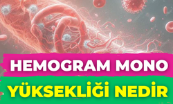 Hemogram Mono Yüksekliği Nedir