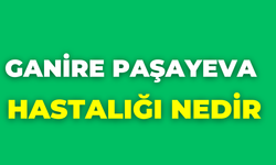 Ganire Paşayeva Hastalığı Nedir