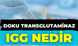 Doku Transglutaminaz Igg Nedir