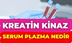 Kreatin Kinaz Serum Plazma Nedir