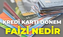 Kredi Kartı Dönem Faizi Nedir