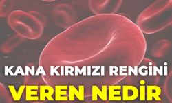 Kana Kırmızı Rengini Veren Nedir