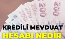 Kredili Mevduat Hesabı Nedir