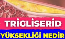 Trigliserid Yüksekliği Nedir