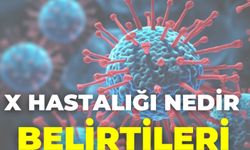 X Hastalığı Nedir Belirtileri