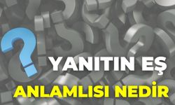 Yanıtın Eş Anlamlısı Nedir