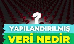 Yapılandırılmış Veri Nedir