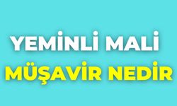 Yeminli Mali Müşavir Nedir