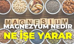 Magnezyum Nedir, Ne İşe Yarar