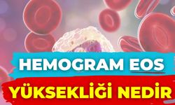 Hemogram Eos Yüksekliği Nedir