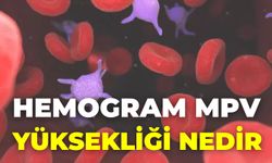 Hemogram Mpv Yüksekliği Nedir