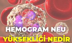 Hemogram Neu Yüksekliği Nedir