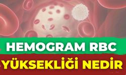 Hemogram Rbc Yüksekliği Nedir