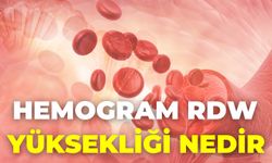 Hemogram Rdw Yüksekliği Nedir