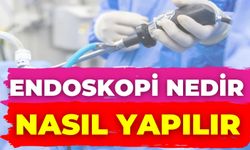 Endoskopi Nedir Nasıl Yapılır