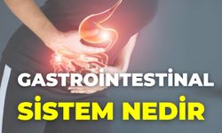 Gastrointestinal Sistem Nedir