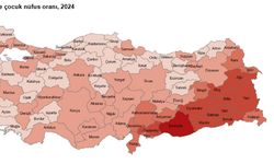 Gaziantep, Diyarbakır ve Şanlıurfa LGS’de Kaç Birinci Çıkardı? İşte Merak Edilen Tam Liste!