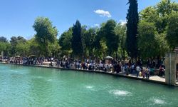 Şanlıurfa, Gaziantep ve Diyarbakır’ın 2025 Nüfusları Belli Oldu