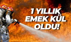 Bir Kıvılcım, Şanlıurfa’da 1 Yıllık Emeği Yok Etti!