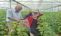 Şanlıurfa’da Vefaya Vefa: 25 Yıllık Emek Plaketle Taçlandı!