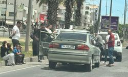 Şanlıurfa’da Küçükbaş Hayvanlar Kayıt Altına Alınıyor
