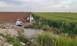 Şanlıurfa’da EBYS ve Bilgi Güvenliği Eğitimi Verildi