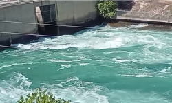 Şanlıurfa’da Sessiz Katil: Her Yaz Aynı Acı!