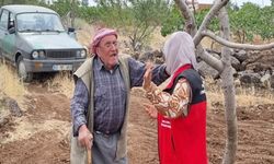 Şanlıurfa’da Salatalık Ve Fıstık Üreticilerine Önemli Uyarı!