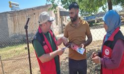 Urfa İsot Tarlalarında Pestisit Denetimi