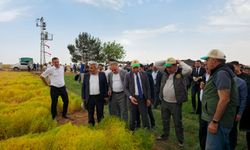 AK Parti Şanlıurfa Milletvekili Mehmet Ali Cevheri’den Ceylanpınar’a Çıkartma