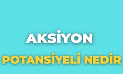Aksiyon Potansiyeli Nedir