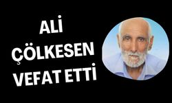 Şanlıurfa’nın Asırlık Çınarlarından Ali Çölkesen Vefat Etti