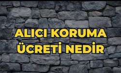 Alıcı Koruma Ücreti Nedir