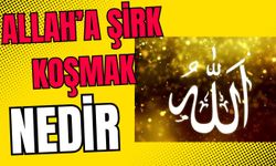 Allah’a Şirk Koşmak Nedir