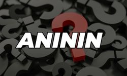 Anının Eş Anlamlısı Nedir
