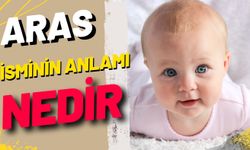 Aras İsminin Anlamı Nedir