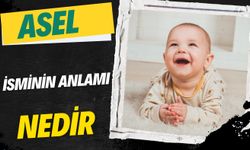 Asel İsminin Anlamı Nedir