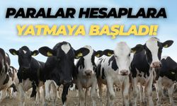 Karaköprü Çiftçilerine Ödeme Müjdesi: Paralar Hesaplara Aktarıldı!