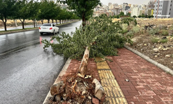 Aksa Uyardı: Şanlıurfa’da Fırtına Sonrası Sessiz Tehlike!