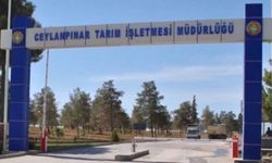 Ceylanpınar TİGEM İşçi Alımı Kura Sonuçları İsim Listesi Açıklandı!
